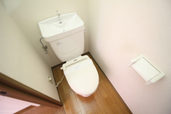 トイレ　※他号室の写真です