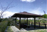 公園　海のみえる岸岡山緑地（公園）まで460m