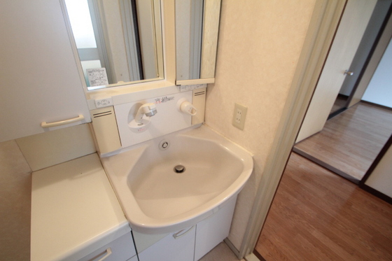 洗面設備　※他部屋の写真です。