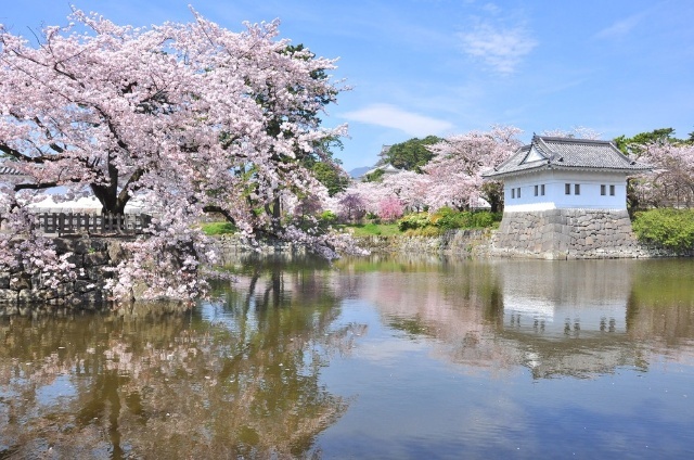 【ラ・ヴィータ１号の公園】