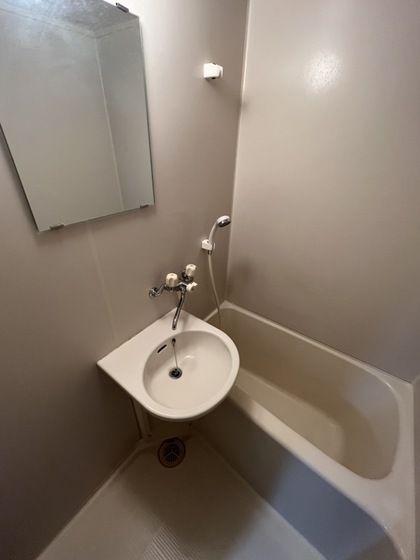 バス・シャワールーム　※他号室お写真となります。
