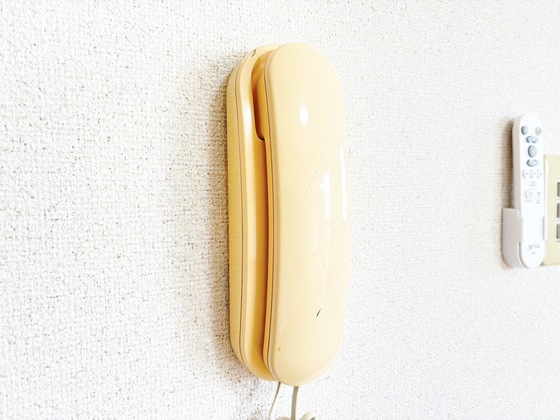 セキュリティ　ドアホン