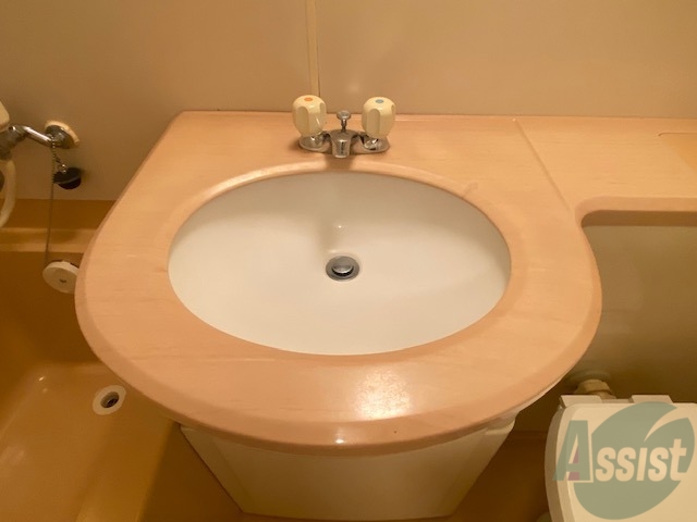 洗面設備　洗面台はバスルームの中に付いていましたよ～