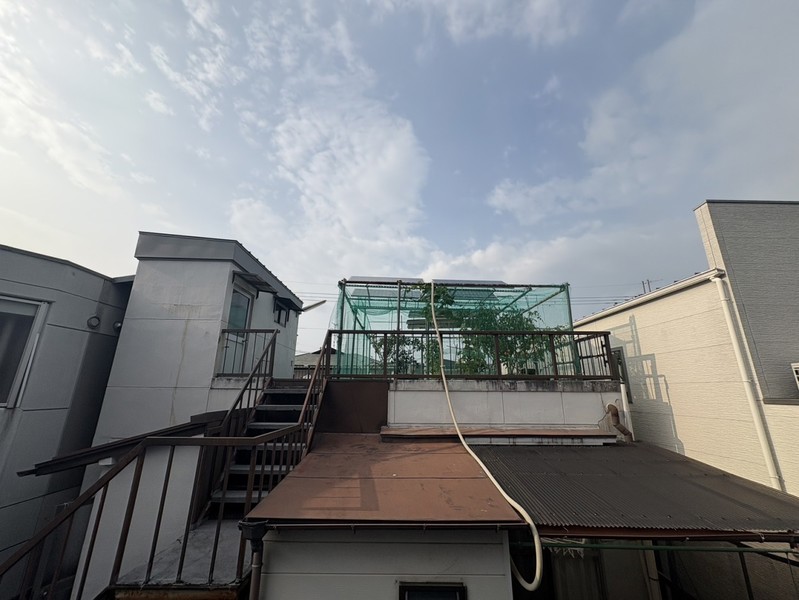 庭