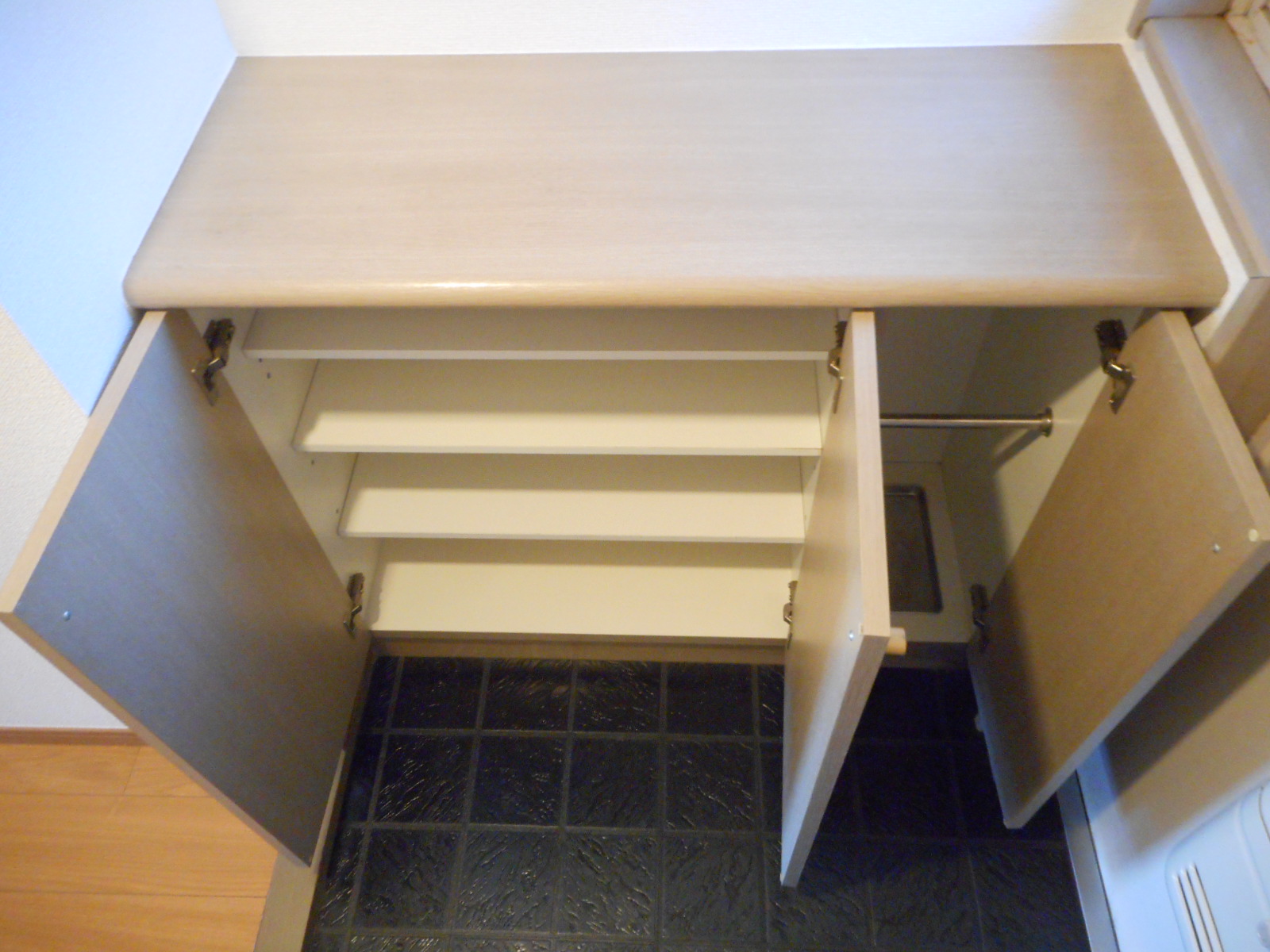 玄関　他号室モデル写真