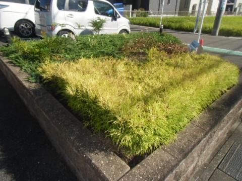 庭　庭（イメージ）