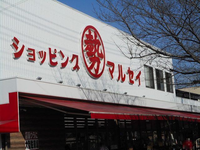 スーパー　ショッピング丸勢（スーパー）まで250m