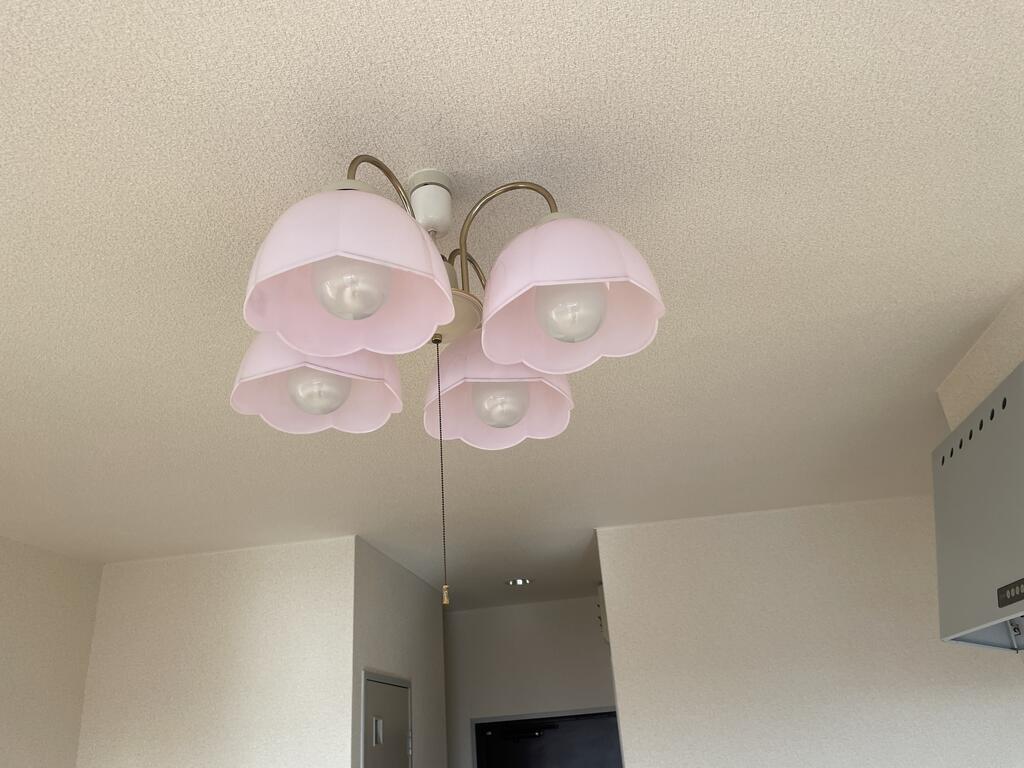 エクセレントクォーターのその他写真