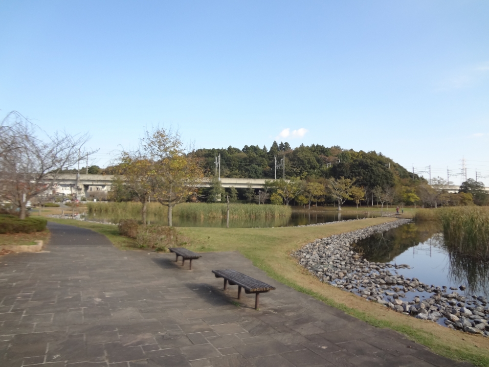 公園　大百池公園（公園）まで207m