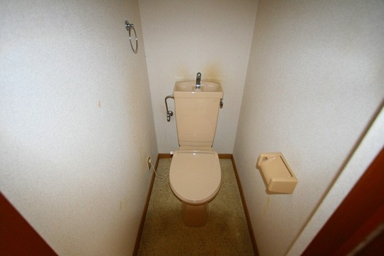 トイレ　※他号室の写真です