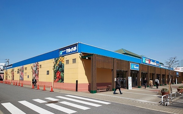 スーパー　スーパーマルハチ大正店（スーパー）まで303m