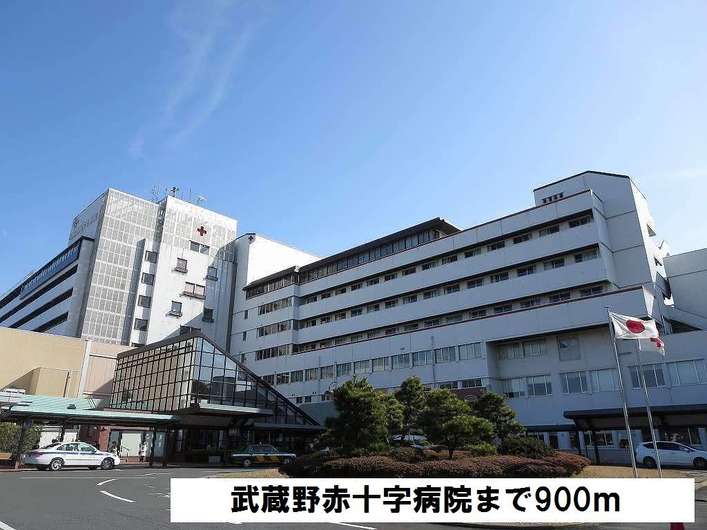 病院　武蔵野赤十字病院（病院）まで900m