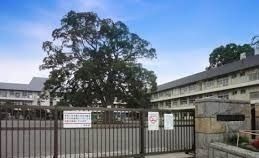 小学校　相模原市立新磯小学校（小学校）まで900m