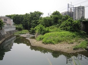 公園　早淵の森緑地（公園）まで144m