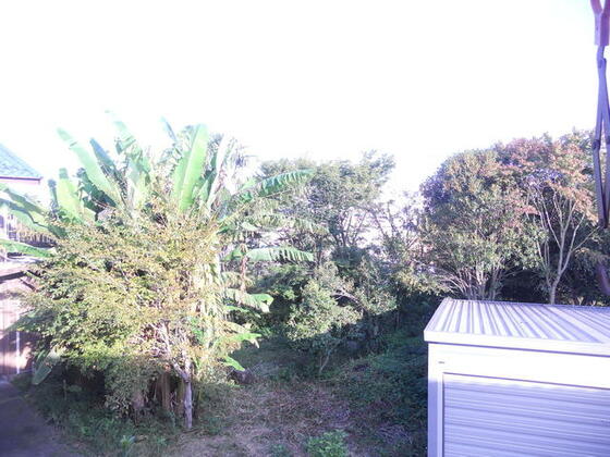 眺望　目の前に建物がないのでお部屋の中は明るいです。