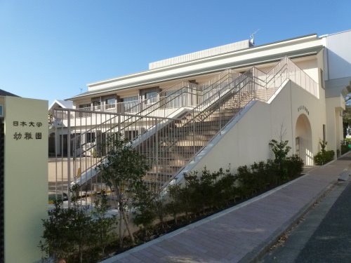幼稚園・保育園　日本大学幼稚園（幼稚園・保育園）まで1325m
