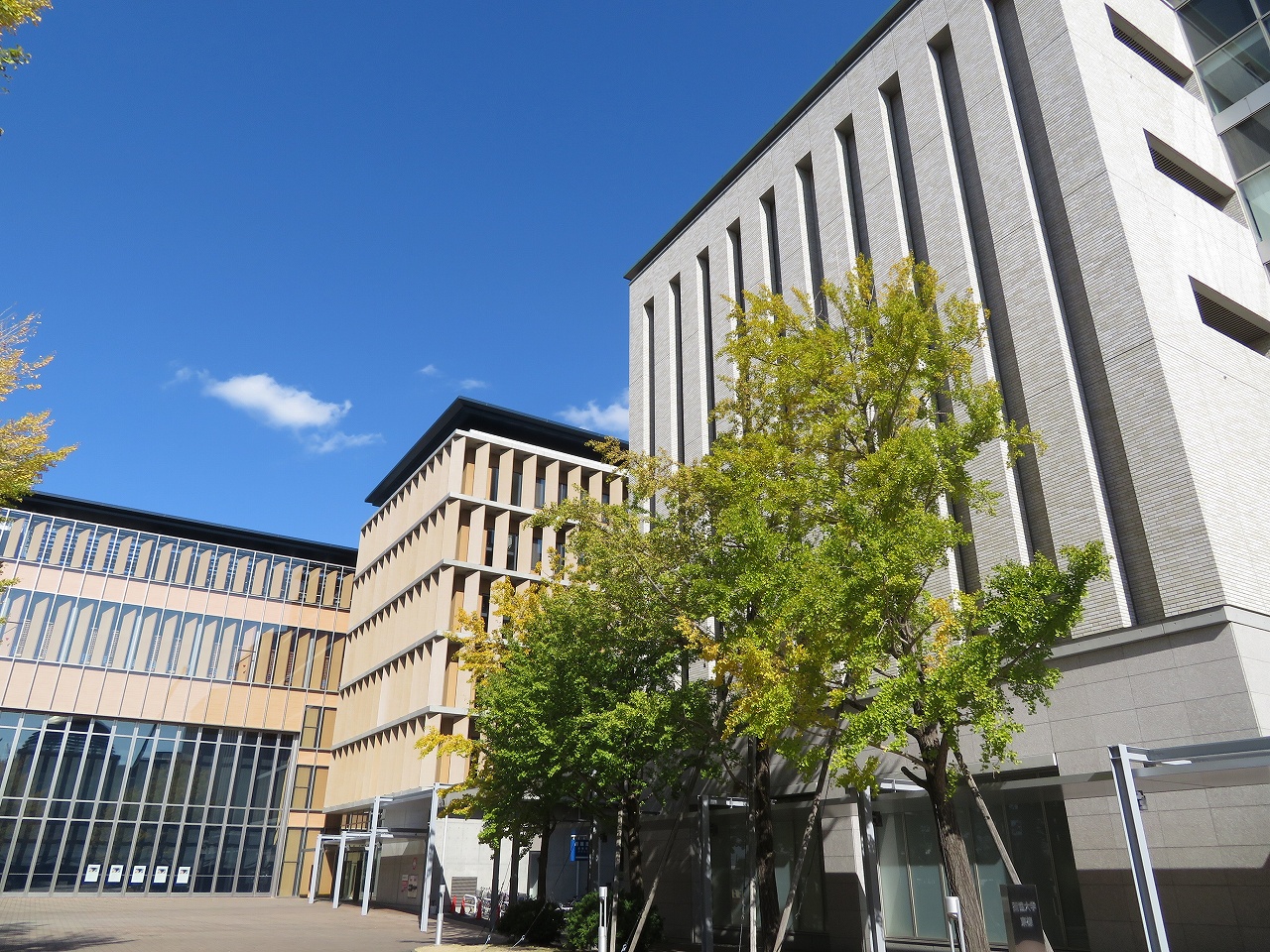 大学・短大　私立獨協大学（大学・短大）まで1311m