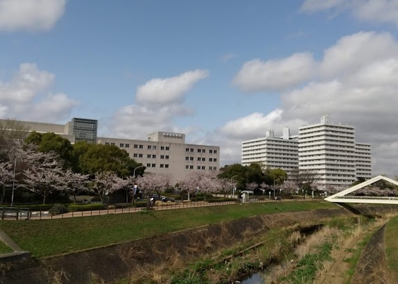 公園　新横浜駅前緑地（公園）まで799m