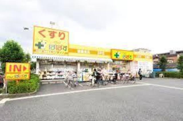 ドラックストア　どらっぐぱぱす柴又3丁目店（ドラッグストア）まで970m