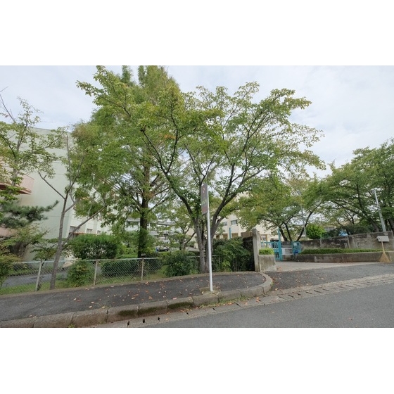 小学校　奈良市立右京小学校（小学校）まで288m