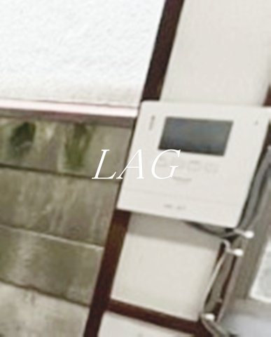 セキュリティ　モニター付きインターホンです。