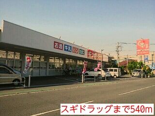 その他　スギドラッグ（その他）まで540m