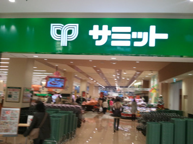 スーパー　サミットストア テラスモール湘南店（スーパー）まで495m