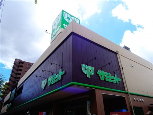 スーパー　サミットストア野沢龍雲寺店（スーパー）まで584m