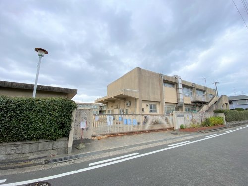 小学校　堺市立浜寺昭和小学校（小学校）まで823m