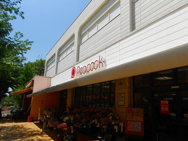 スーパー　ピーコックストア国立さくら通り店（スーパー）まで373m