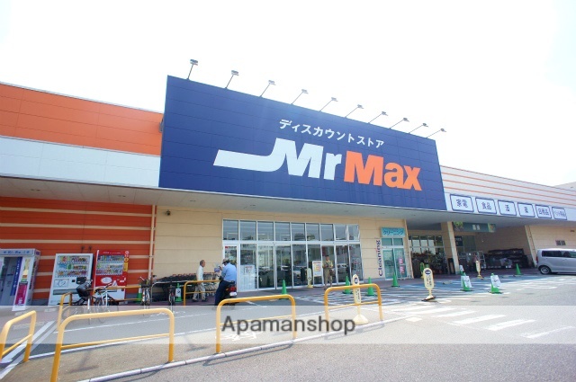 その他　ミスターマックス（その他）まで300m