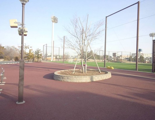 公園　赤羽スポーツの森公園（公園）まで363m