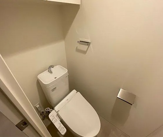 トイレ　トイレも気になるポイント