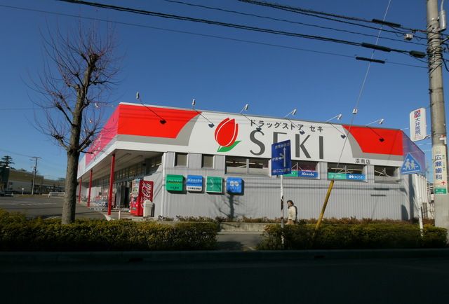 ドラックストア　ドラッグストアセキ沼南店（ドラッグストア）まで1160m