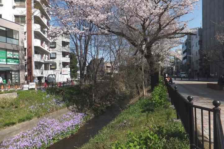 その他　玉川上水（その他）まで232m
