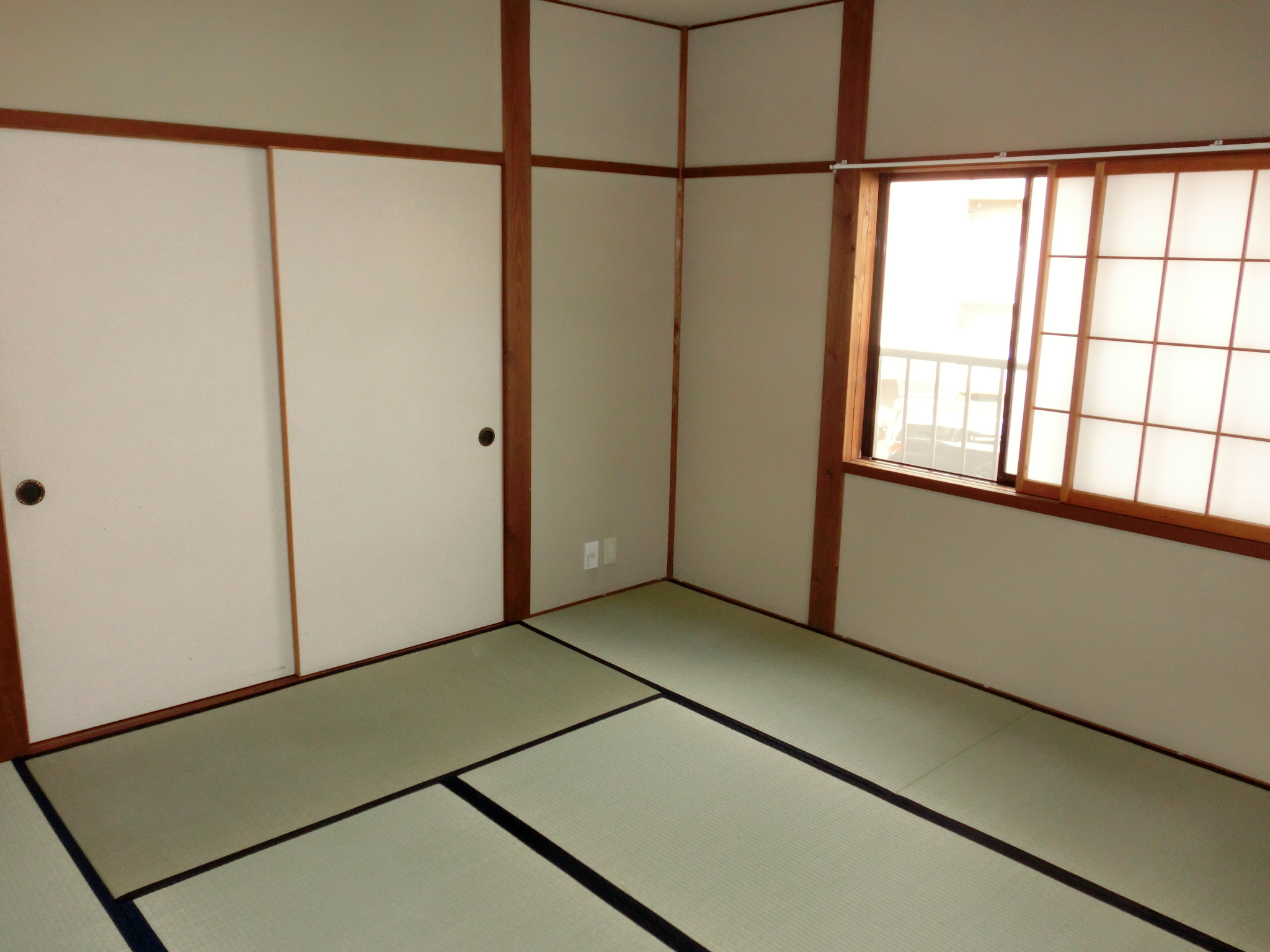 Seifusoのその他写真