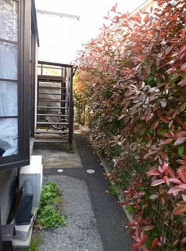 庭