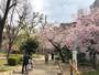 公園　高津公園（公園）まで1490m