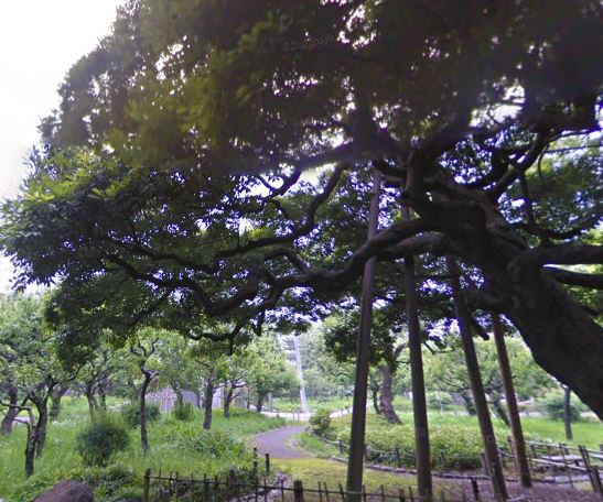 公園　芝公園（公園）まで600m