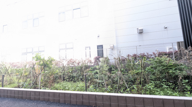 眺望　※他部屋参考写真