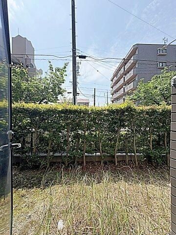 庭