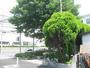 公園　長洲東通2丁目緑地（公園）まで534m