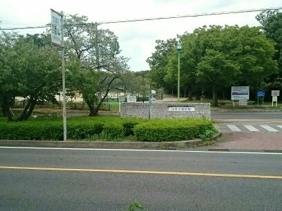 公園　小幡緑地公園（公園）まで1100m