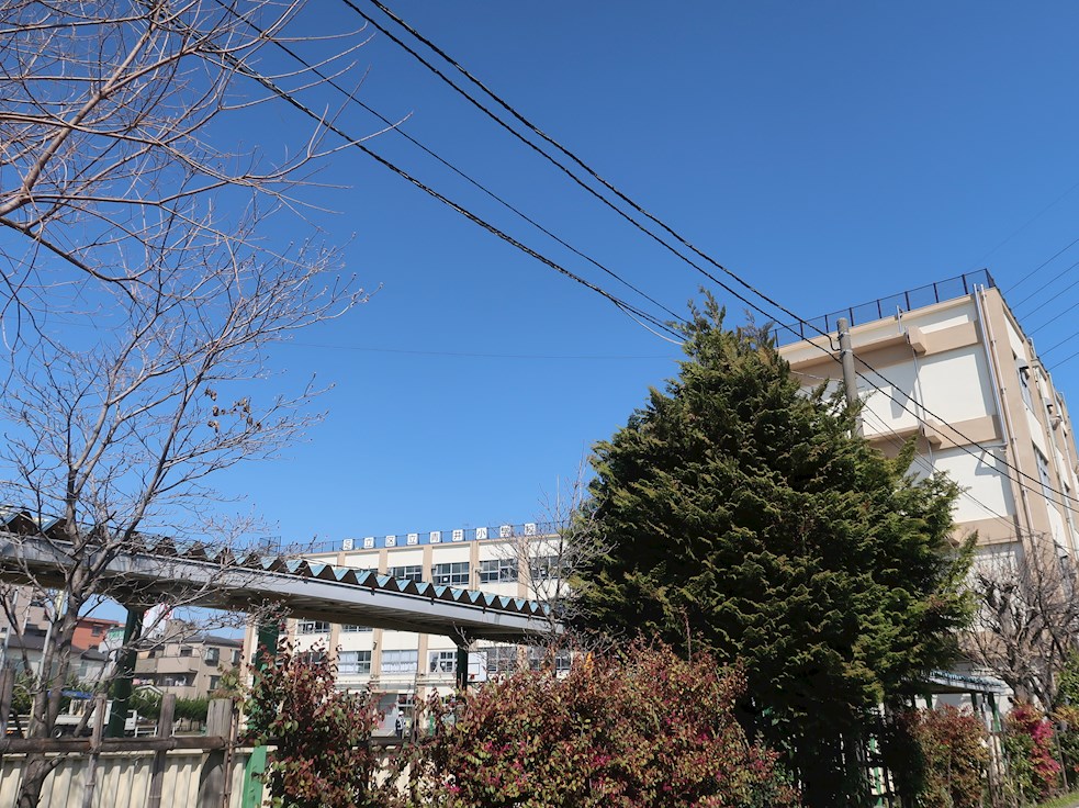 小学校　足立区立青井小学校（小学校）まで442m