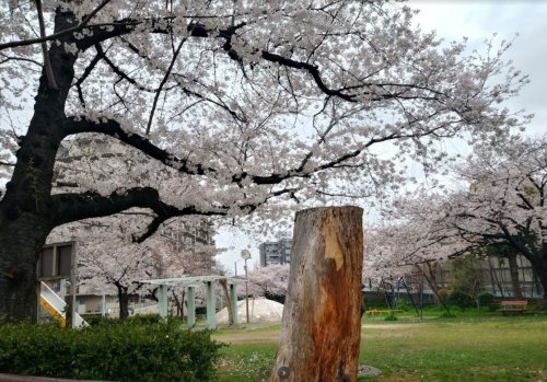 公園　大淀北公園（公園）まで314m