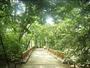 公園　林試の森公園（公園）まで1119m