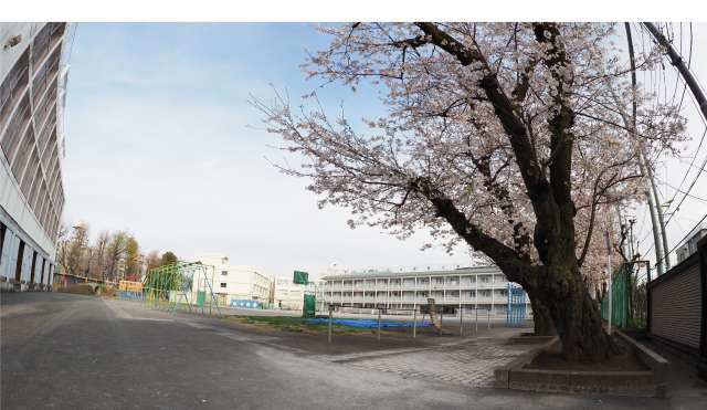 小学校　世田谷区立赤堤小学校（小学校）まで1268m