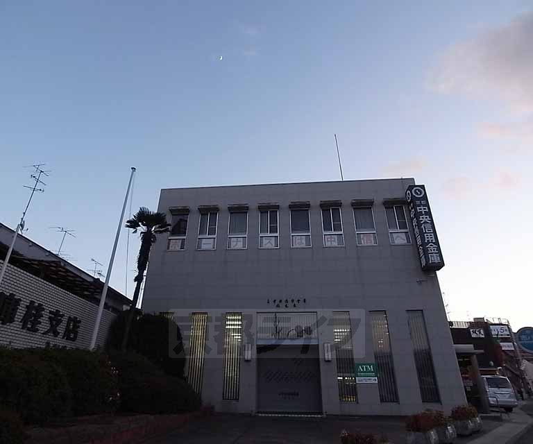 銀行　京都中央信用金庫 桂支店（銀行）まで605m