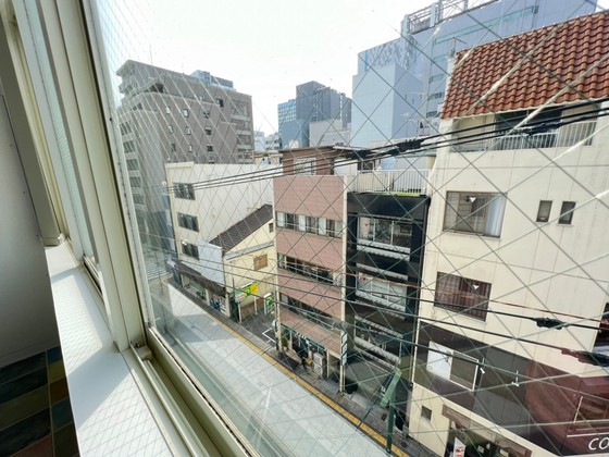 眺望　※別部屋の写真です
