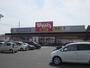 ドラックストア　ウォンツ西条西店（ドラッグストア）まで1400m